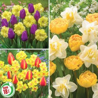Spring Blend Collection 2 Thumbnail
